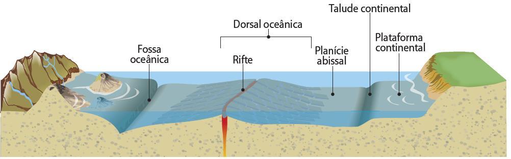 Formação da crusta oceânica A teoria e de cadeias da tectónica de montanhas de placas O relevo do fundo dos oceanos apresenta várias