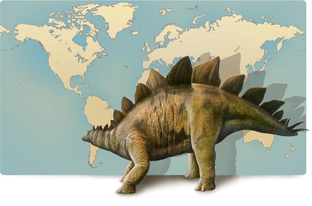 Casal Novo Morrinson A descoberta de fósseis de estegossauro em Morrison e no Casal Novo é