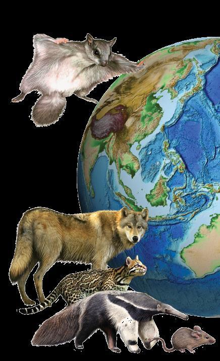 O isolamento geográfico da Austrália,