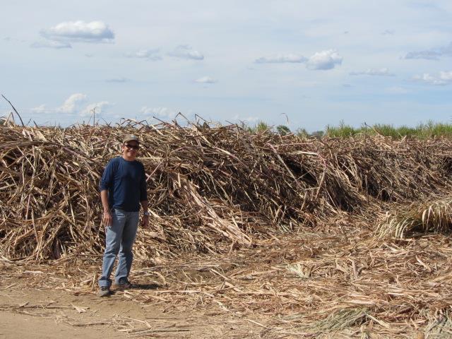 Brasil - Juazeiro/BA Região Precipitação Anual Irrigação