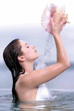 Tratamento de água wellness spas solução aquafinesse Aquafinesse SpaClean Limpa minuciosamente o interior da sua spa. É normalmente utilizado para uma limpeza profunda.