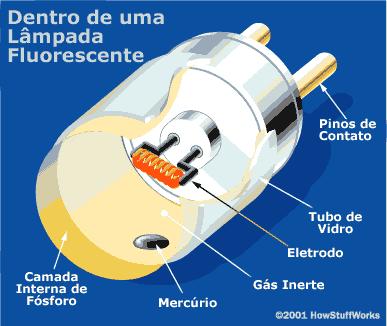 Lâmpadas As lâmpadas fluorescentes geram luz pela passagem da eletricidade através de um tubo cheio de gás inerte e uma pequena quantidade de mercúrio.