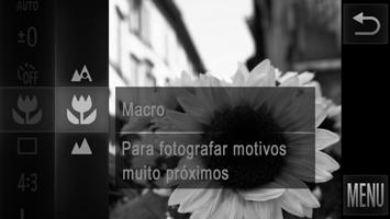 Alcance de Disparo e Focagem Fotografias Fotografar Grandes Planos (Macro) Filmes Para limitar a focagem apenas a motivos próximos, defina a câmara para e.