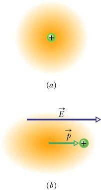 DIPÓLO ELÉTRICO Embora os átomos e as moléculas sejam eletricamente neutros, são afetados pelos campos elétricos, pois têm cargas positivas e negativas.