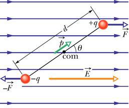 UM DIPÓLO EM UM CAMPO ELÉTRICO Num campo elétrico uniforme o dipólo sofre a ação de duas forças iguais e opostas que tendem a girar o dipólo, alinhando o momento de dipólo com o campo elétrico.