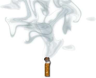 Índice Objetivo Metodologia Perfil da amostra O fumo em bares, restaurantes e casas