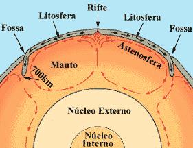 Estrutura