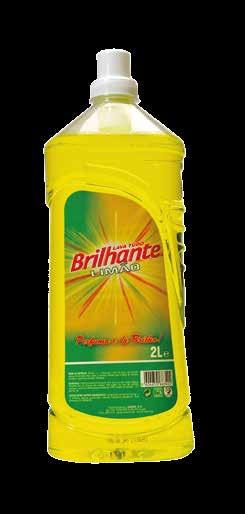 BRILHANTE Lava Tudo Flor Laranjeira 2 Lts 504553709 811933 9