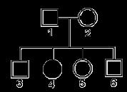 Analisando a genealogia adiante, responda: a) Qual a probabilidade de o indivíduo 3