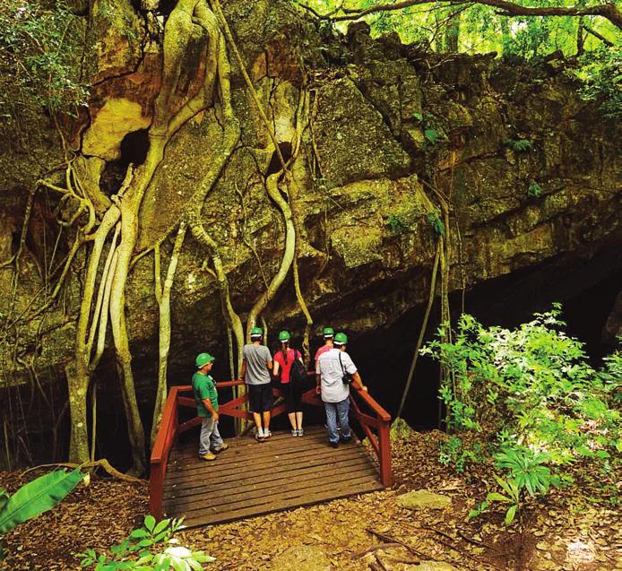 As cavernas, as lagoas e as cachoeiras da região se mantêm preservadas por receber um número limitado de pessoas por dia Aquário Natural Localizado na nascente do Rio Baía Bonita, a 9 km de Bonito,
