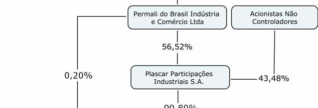 inaugurando um programa de crescimento e modernização, que a tornou líder no mercado de peças plásticas para o setor automotivo. Em 12 de abril de 2006 o controle acionário da Permali do Brasil Ind.