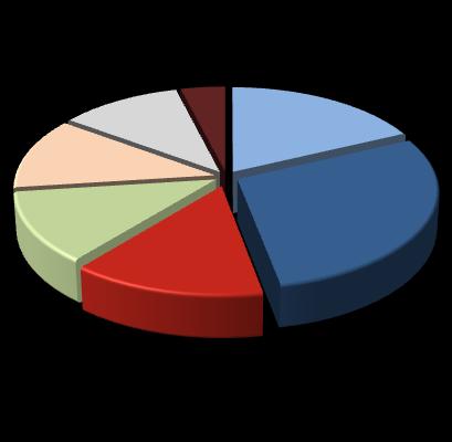 1S10 = 19,0% A rede diferenciada de vendas da Heringer e seu foco no segmento de