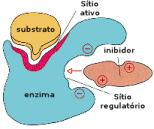 26 3.4 ENZIMAS As Enzimas são biocatalizadores proteicos especializados na catálise das mais diferentes reações biológicas.