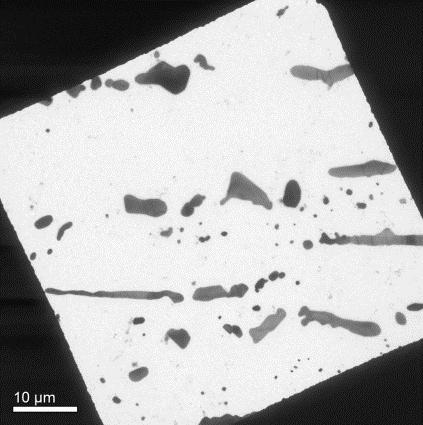 (µl) Tempo de (µm) exposição(s) 6 10 5 Foto panorâmica de um