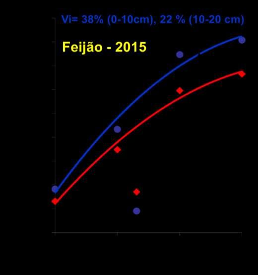 Melhoria da camada superficial: Calagem 100 kg N/ha (NH 4 NO 3 );