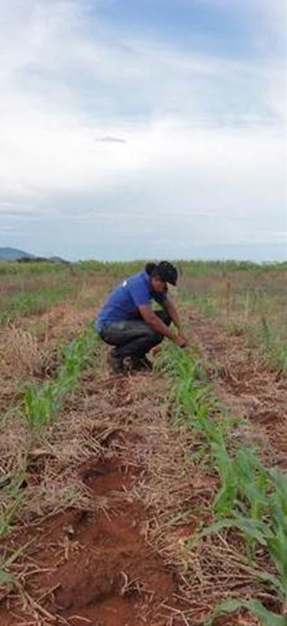 INTRODUÇÃO A AGRICULTURA DE CONSERVAÇÃO Antecedentes Uso limitado de insumos externos em Moçambique A AC afigura-se como uma resposta oportuna Definição de AC Distúrbio mínimo do solo Cobertura