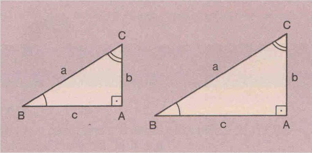 1. Trigonometria no triângulo retângulo E dessa semelhança podemos deduzir que: b a b b