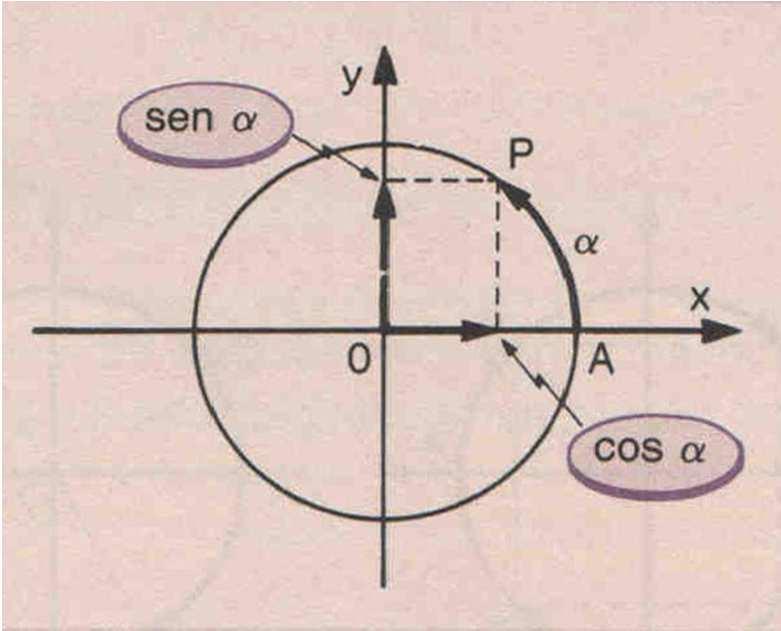 7. Seno e cosseno na circunferência trigonométrica Em razão dessas definições,
