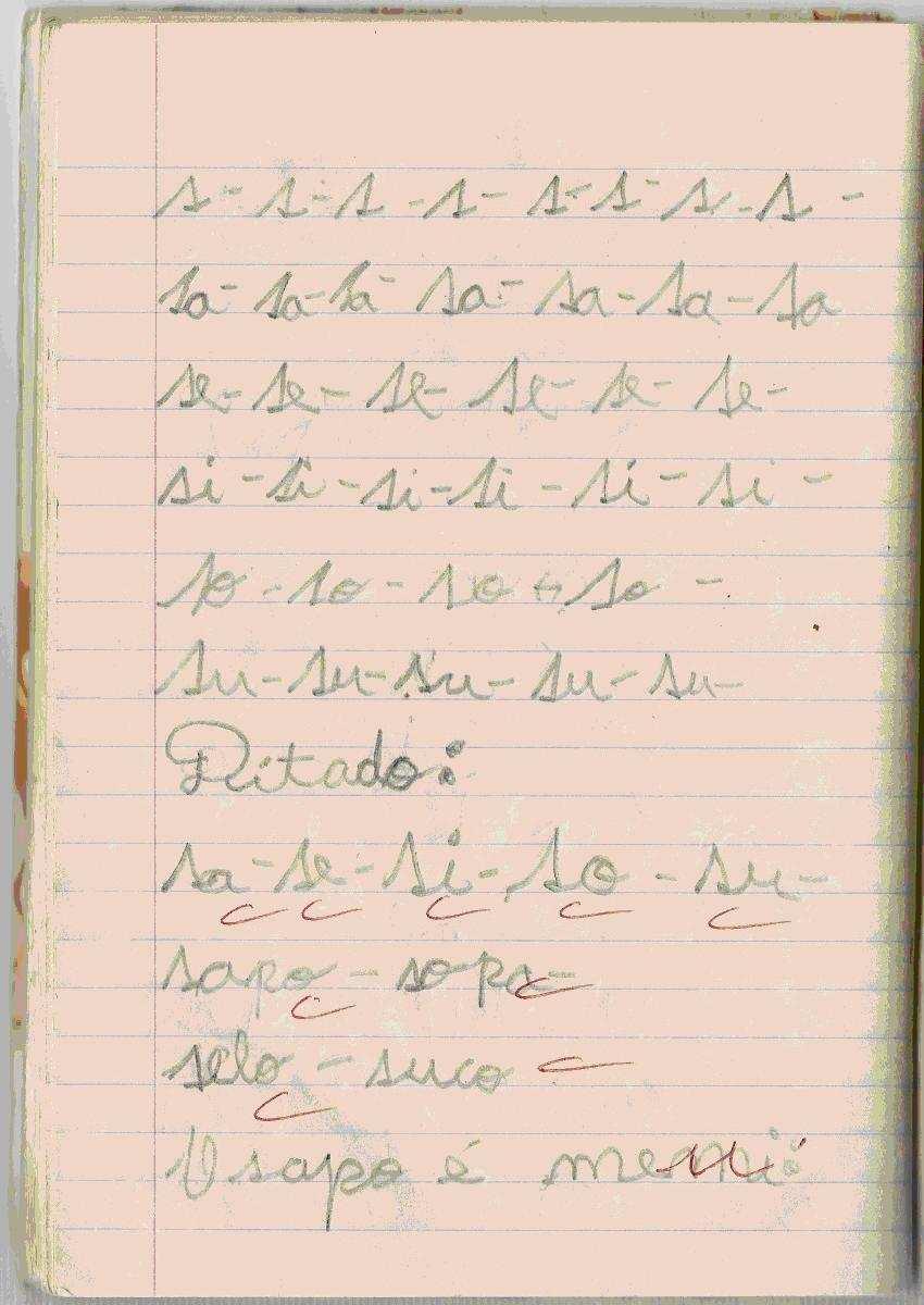 Caderno 1991, acervo HISALES. No caso do caderno de 1960, de um menino, morador do interior do estado do RS, o ditado é de frases, uma vez que ele foi alfabetizado pelo método global.