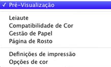 8. Selecione Definições de impressão a partir do menu suspenso. Você verá estas configurações: 9.