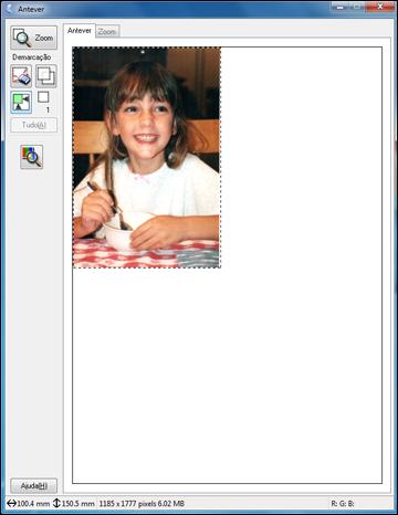 Pré-visualização em Miniatura: sua área de digitalização é selecionada automaticamente, mas você pode mudá-la.