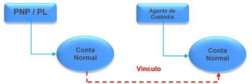 Custodiante Opcional e Mandatório para o mercado à vista ou de liquidação futura em que seja prevista a entrega de ativos, este vínculo possibilita o direcionamento automático do ativo no processo de