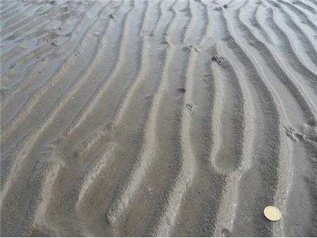 Marcas onduladas em planície de maré