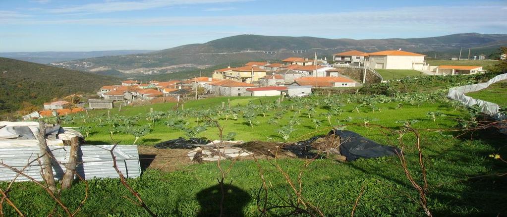 CABODEVILA Aqui nesta foto vê-se a parte Sul, a Eira da Uz e as casas novas do