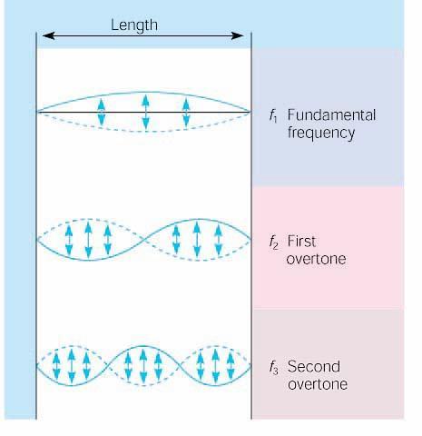 Frequência Fundamental Uma corda esticada de um dado comprimento