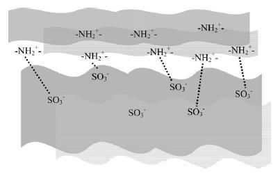 SO 3 - - SO 3 N H N N n SPAN com diferentes graus de sulfonação através do ácido cloro