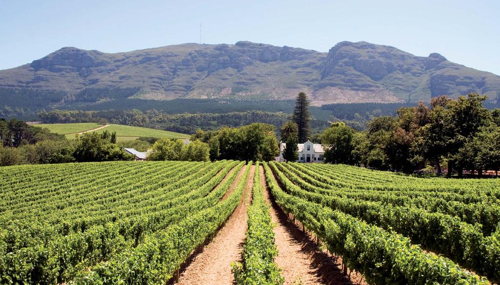 Passeio cênico e histórico pelas regiões vinícolas em Cape Town: Stellenbosch,
