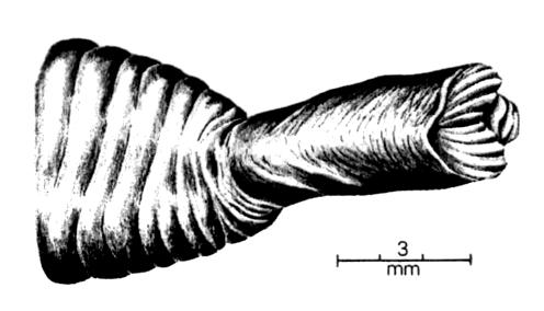 Gymnophiona - cecília Estratégias reprodutivas Fertilização interna (falodeu)