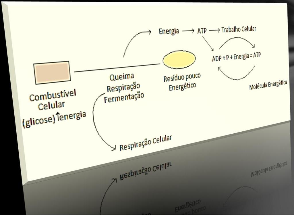 Resumo de