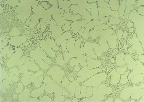 Microestrutura típica das ligas Al-Si Liga A356