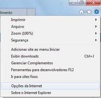 3. NAVEGADOR INTERNET EXPLORER Clique em