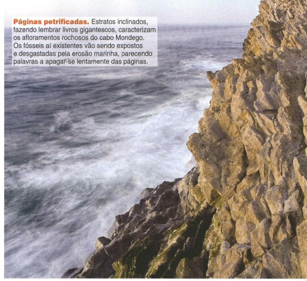 locomoção e o comportamento de terópodes". Praia Grande (Sintra) Tipos de fósseis: pegadas de saurópodes (quadrúpedes herbívoros), terópodes (b/pedes carnívoros) e ornitópodes (b/pedes herbívoros).