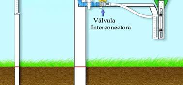 O solo foi classificado como Neossolo Quartzarênico, segundo o Sistema Brasileiro de Classificação de Solos, com baixa capacidade de retenção de água cultivado com girassol irrigado com aspersão
