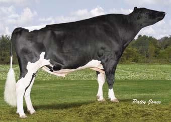 Sandy-Valley ED-ET VG-CAN Stormatic x