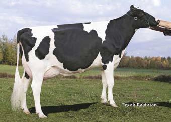 TWISTER Ginary Twister Ex-90-CAN ST