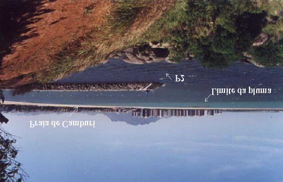 Figura 2: Visualização da pluma gerada pelas águas