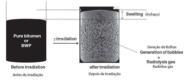 Figura 4.10: Inchaço e geração de bolhas em betume sob irradiação γ observada pela tomografia de raios X (total dose = 1MGy, taxa de dose = 400 Gy/h e T = 25ºC) (MOUAZEN et al. 2013).
