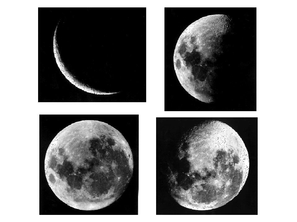 A Lua em fases distintas (fotos de André