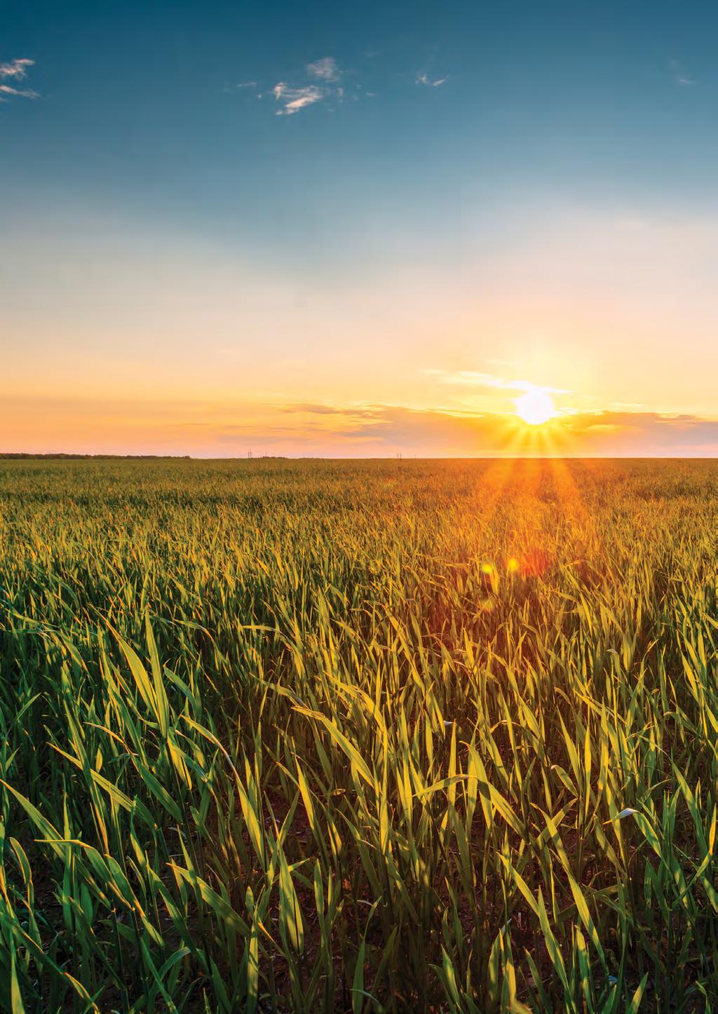 Faça parte da família Valorfito, por amor à agricultura e