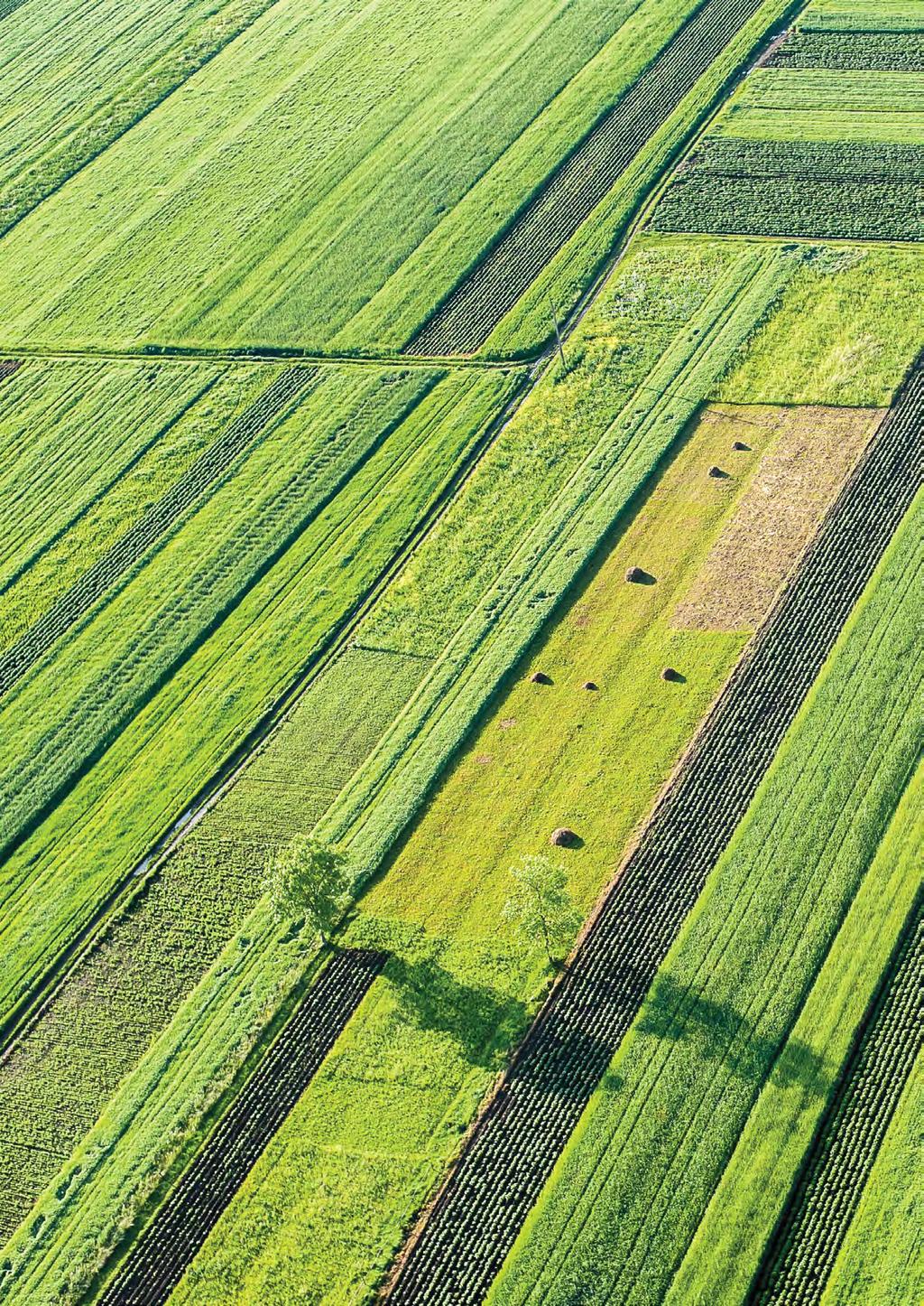 O Valorfito promove a sustentabilidade de uma agricultura moderna, cada vez mais respeitadora