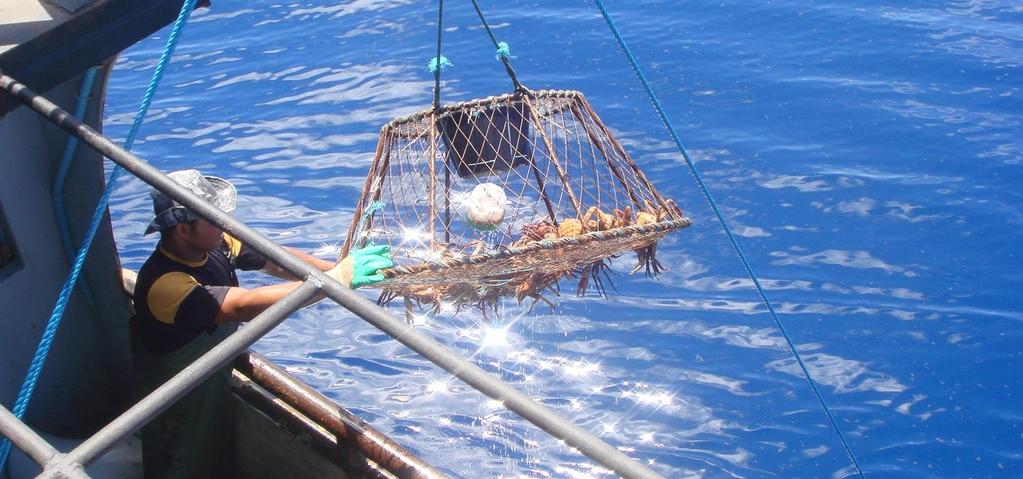 Foto: GEP/UNIVALI A situação da pesca