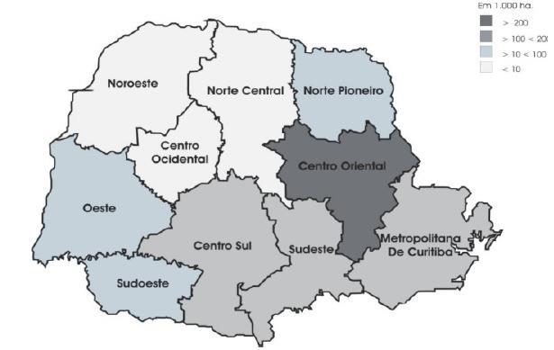 O POTENCIAL PARANAENSE NOS SETORES FLORESTAL E MADEIREIRO ESTIMATIVA DA ÁREA REFLORESTADA (1.