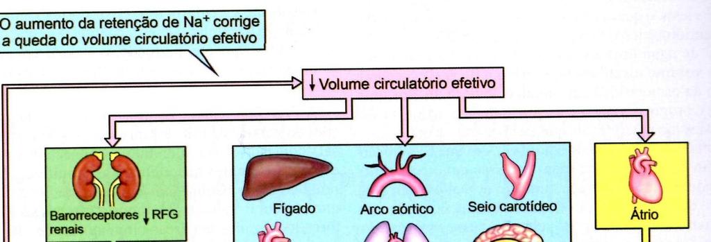 Fig. pág.