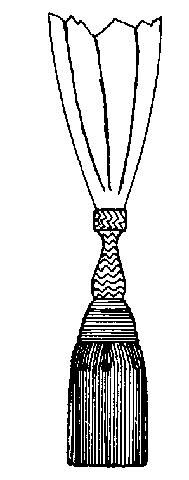 relevo, lembrando, por sua forma, um triângulo isósceles cujos lados e base são em curvas reentrantes; Fig 52 - Charlateira para Cabo e Soldado V - a camisa branca de colarinho simples é