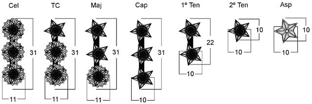 Fig 88 Fig 87 Fig 89 a) Coronel: três estrelas com Cruzeiro do Sul, radiadas, em linha; b) Tenente-Coronel: duas estrelas com Cruzeiro do Sul, radiadas, e uma simples, em linha; c) Major: uma estrela