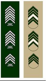 uso: nos uniformes 2º, 3ºA, 3ºB e 3ºD sobre o macho do bolso direito, 10 mm abaixo do distintivo de aperfeiçoamento; 2.